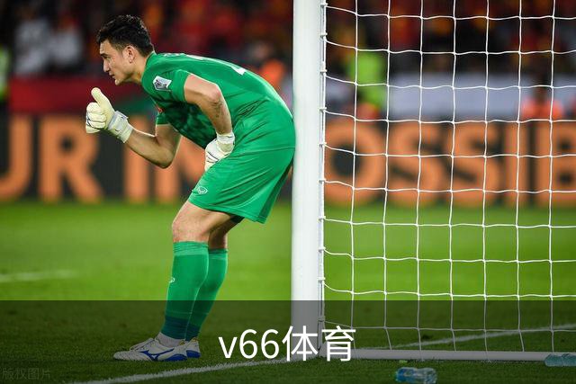 关于v66体育